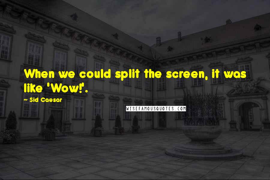 Sid Caesar Quotes: When we could split the screen, it was like 'Wow!'.