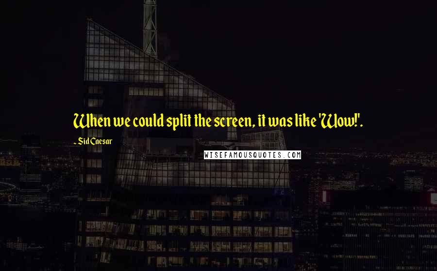 Sid Caesar Quotes: When we could split the screen, it was like 'Wow!'.