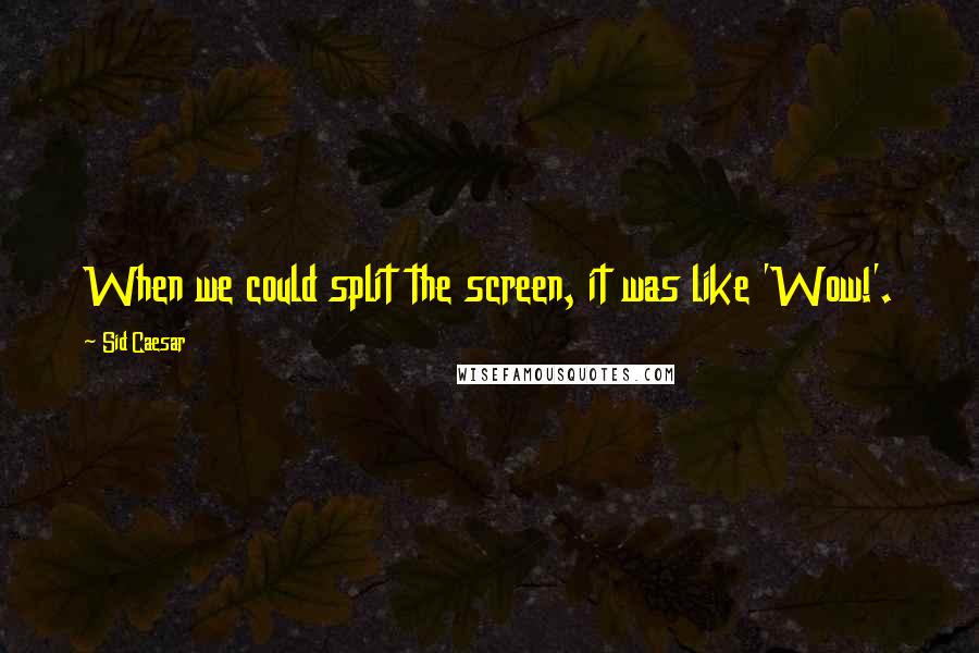 Sid Caesar Quotes: When we could split the screen, it was like 'Wow!'.