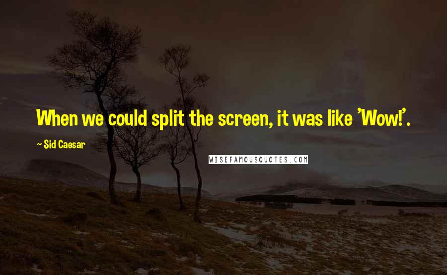 Sid Caesar Quotes: When we could split the screen, it was like 'Wow!'.