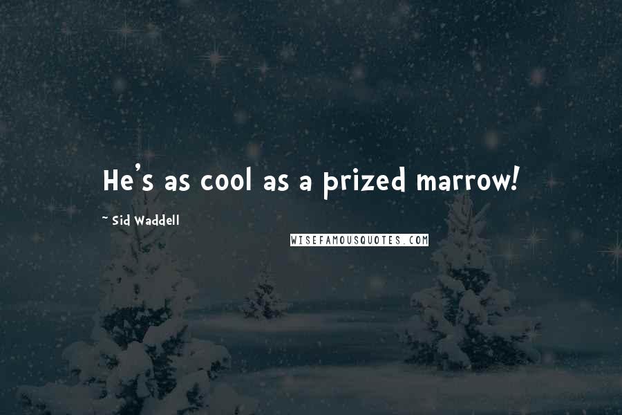 Sid Waddell Quotes: He's as cool as a prized marrow!