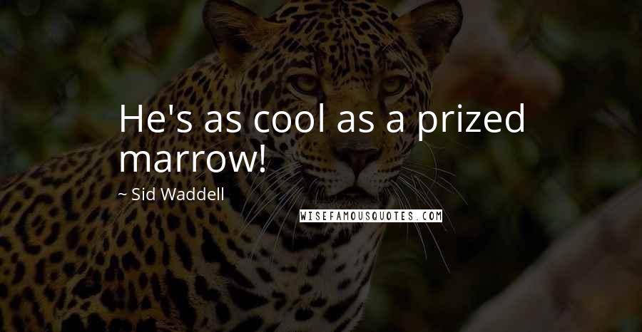 Sid Waddell Quotes: He's as cool as a prized marrow!