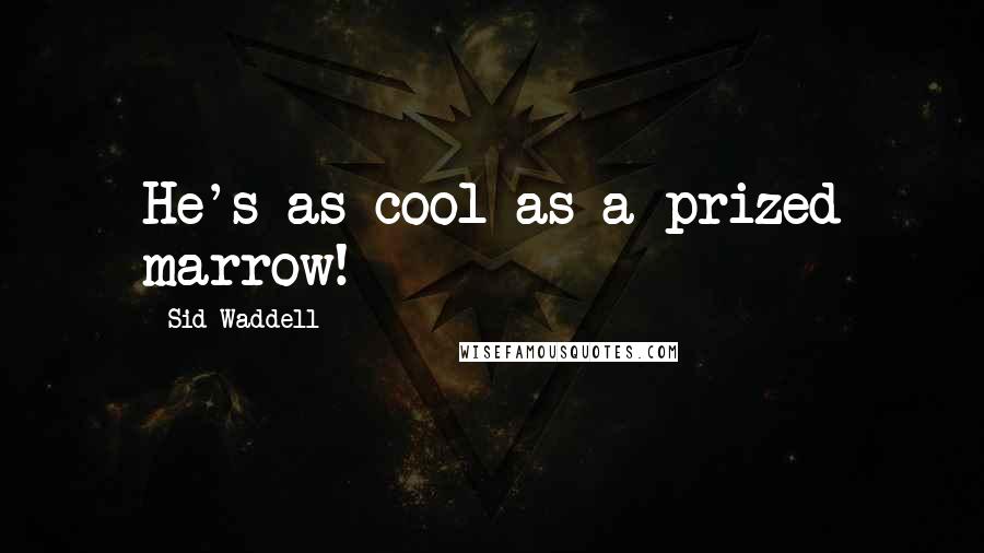 Sid Waddell Quotes: He's as cool as a prized marrow!