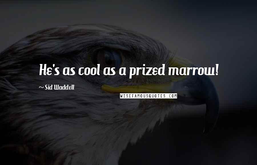 Sid Waddell Quotes: He's as cool as a prized marrow!