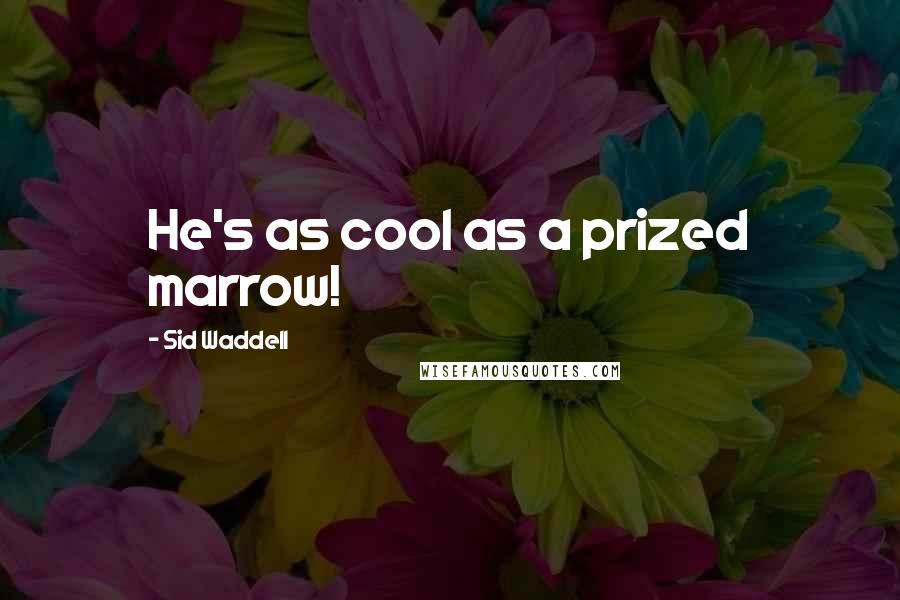 Sid Waddell Quotes: He's as cool as a prized marrow!