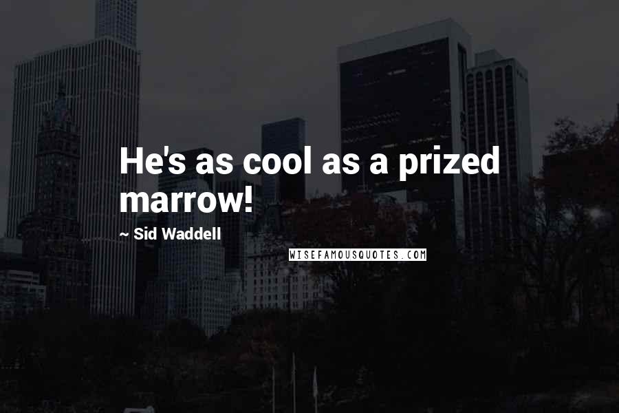 Sid Waddell Quotes: He's as cool as a prized marrow!