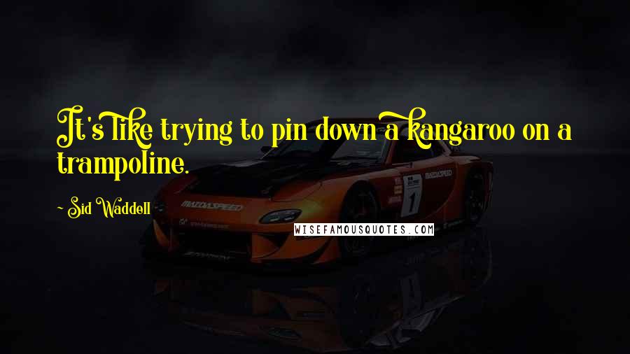 Sid Waddell Quotes: It's like trying to pin down a kangaroo on a trampoline.
