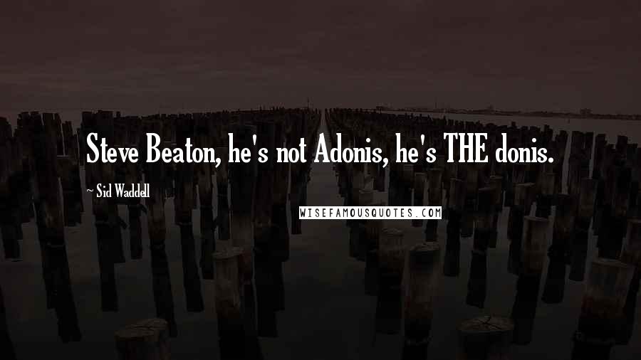 Sid Waddell Quotes: Steve Beaton, he's not Adonis, he's THE donis.
