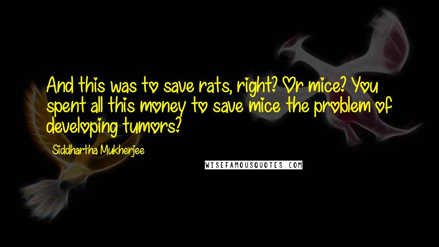 Siddhartha Mukherjee Quotes: And this was to save rats, right? Or mice? You spent all this money to save mice the problem of developing tumors?