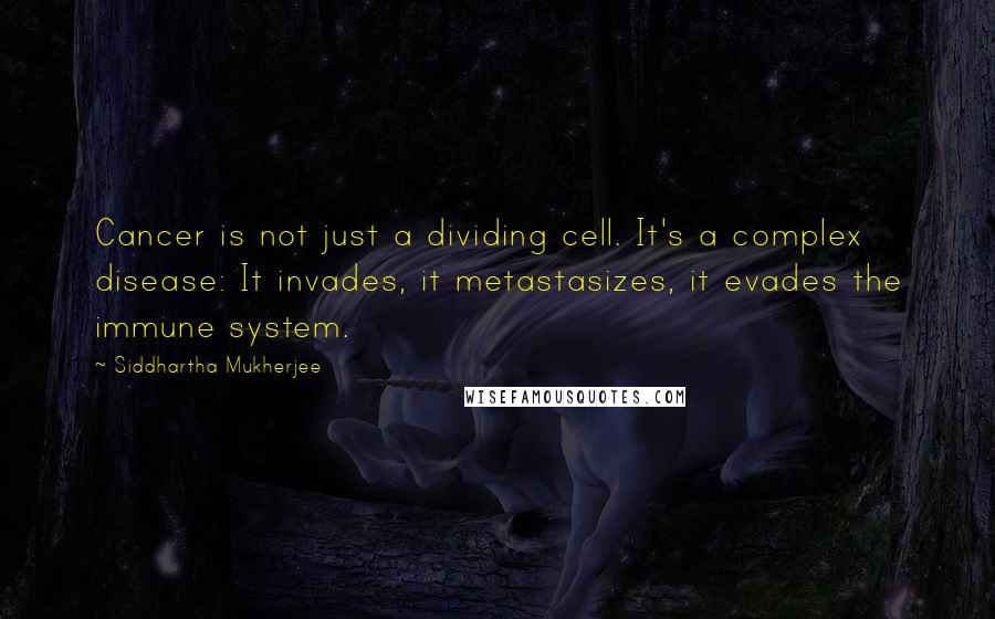 Siddhartha Mukherjee Quotes: Cancer is not just a dividing cell. It's a complex disease: It invades, it metastasizes, it evades the immune system.