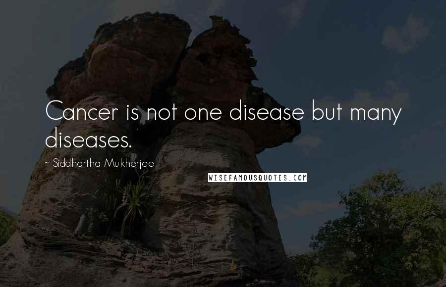 Siddhartha Mukherjee Quotes: Cancer is not one disease but many diseases.
