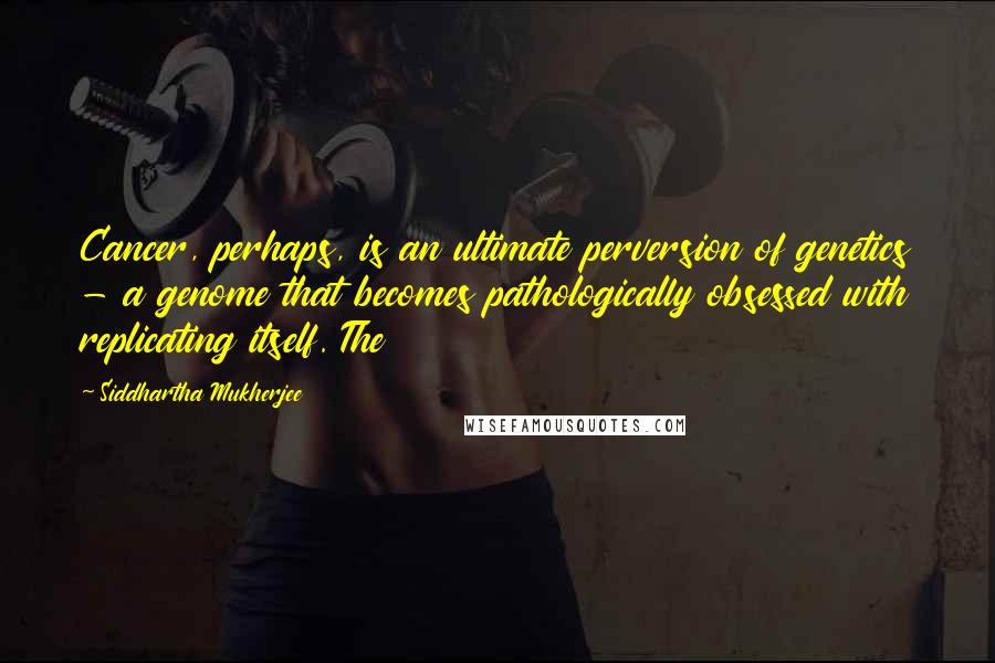 Siddhartha Mukherjee Quotes: Cancer, perhaps, is an ultimate perversion of genetics - a genome that becomes pathologically obsessed with replicating itself. The