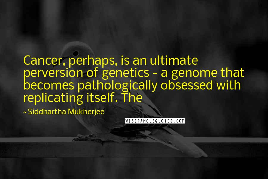 Siddhartha Mukherjee Quotes: Cancer, perhaps, is an ultimate perversion of genetics - a genome that becomes pathologically obsessed with replicating itself. The