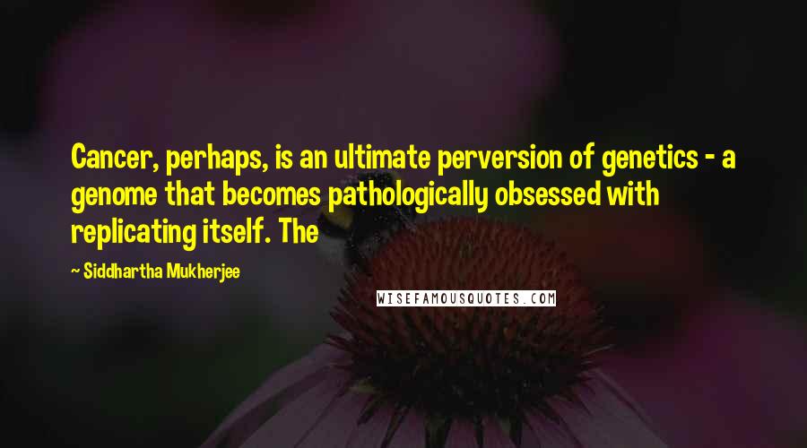 Siddhartha Mukherjee Quotes: Cancer, perhaps, is an ultimate perversion of genetics - a genome that becomes pathologically obsessed with replicating itself. The