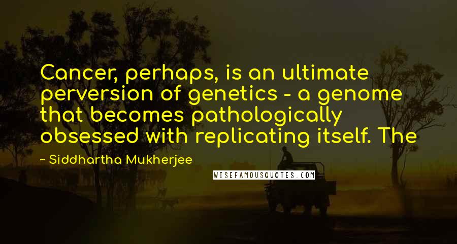 Siddhartha Mukherjee Quotes: Cancer, perhaps, is an ultimate perversion of genetics - a genome that becomes pathologically obsessed with replicating itself. The