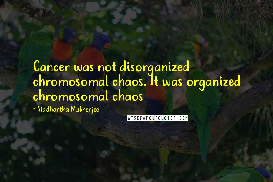 Siddhartha Mukherjee Quotes: Cancer was not disorganized chromosomal chaos. It was organized chromosomal chaos