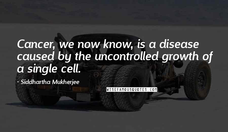 Siddhartha Mukherjee Quotes: Cancer, we now know, is a disease caused by the uncontrolled growth of a single cell.