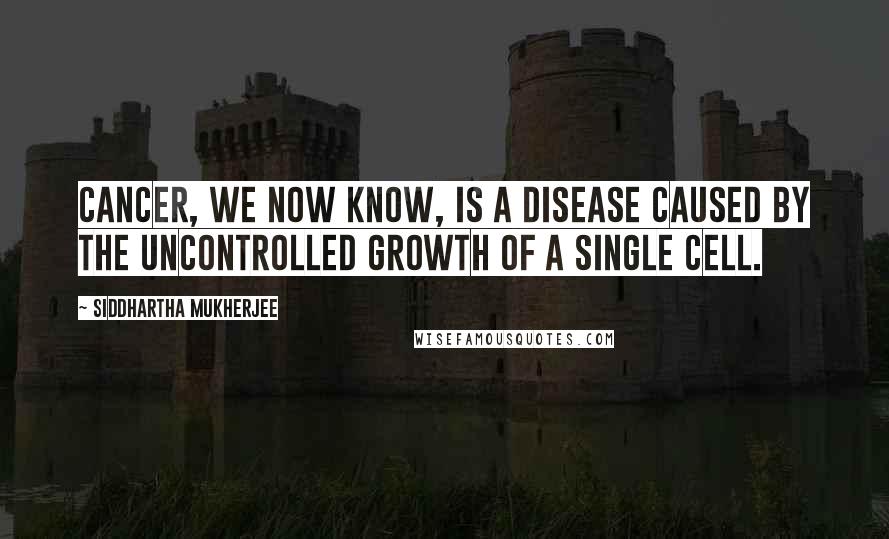 Siddhartha Mukherjee Quotes: Cancer, we now know, is a disease caused by the uncontrolled growth of a single cell.