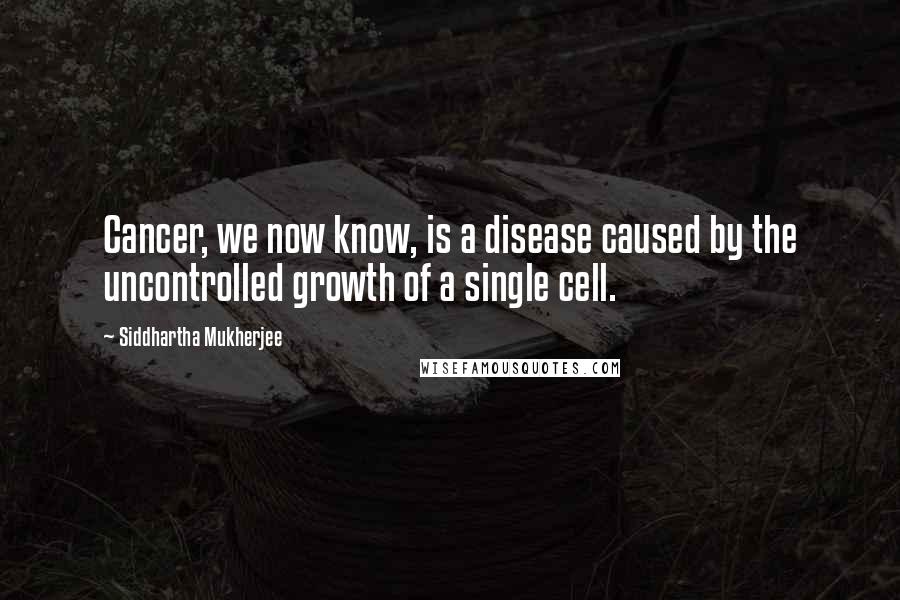 Siddhartha Mukherjee Quotes: Cancer, we now know, is a disease caused by the uncontrolled growth of a single cell.