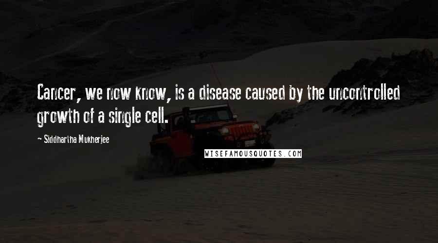 Siddhartha Mukherjee Quotes: Cancer, we now know, is a disease caused by the uncontrolled growth of a single cell.