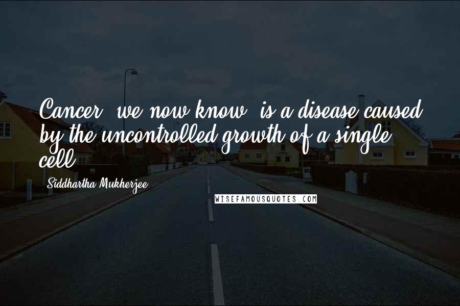 Siddhartha Mukherjee Quotes: Cancer, we now know, is a disease caused by the uncontrolled growth of a single cell.