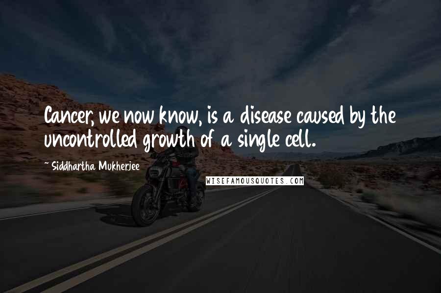 Siddhartha Mukherjee Quotes: Cancer, we now know, is a disease caused by the uncontrolled growth of a single cell.