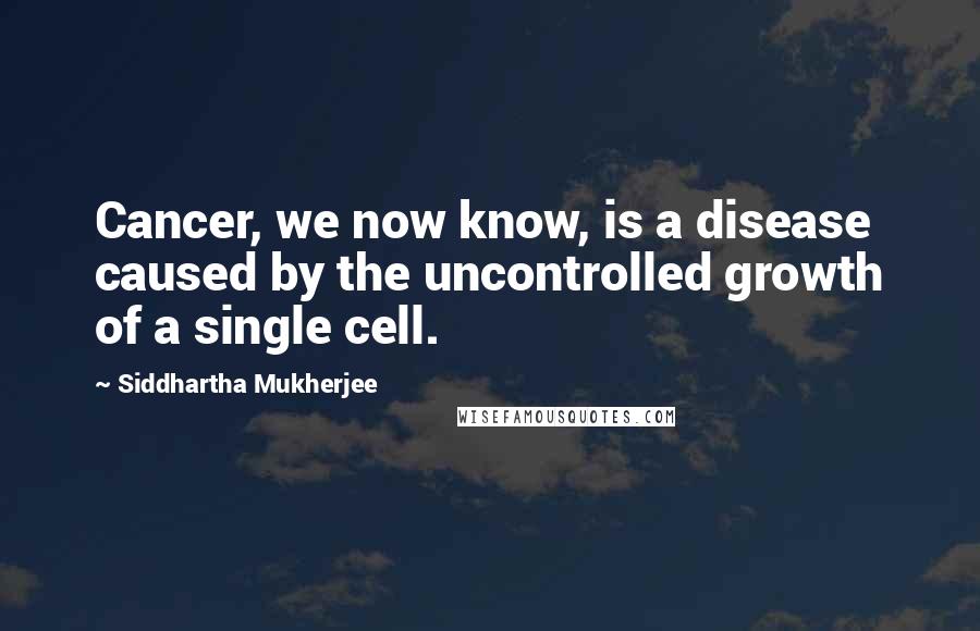 Siddhartha Mukherjee Quotes: Cancer, we now know, is a disease caused by the uncontrolled growth of a single cell.