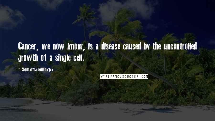 Siddhartha Mukherjee Quotes: Cancer, we now know, is a disease caused by the uncontrolled growth of a single cell.