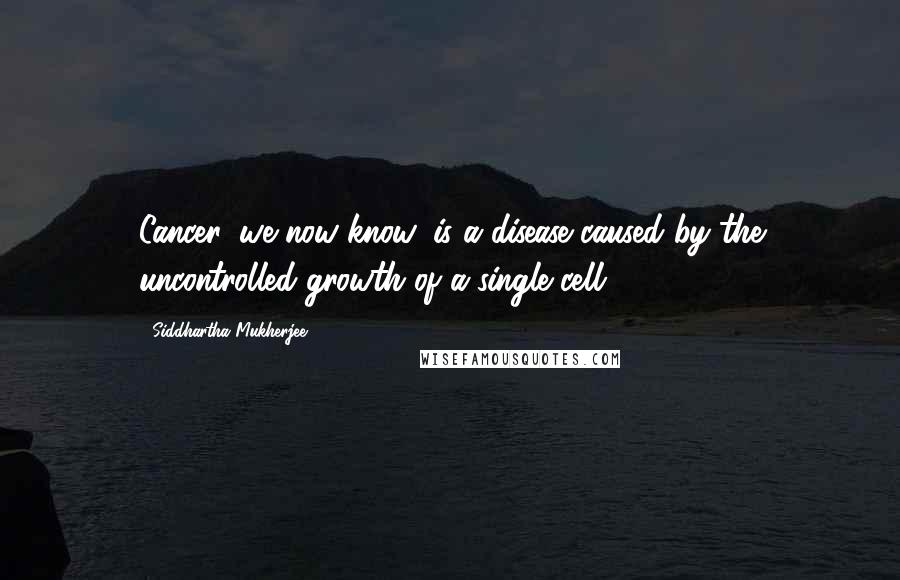 Siddhartha Mukherjee Quotes: Cancer, we now know, is a disease caused by the uncontrolled growth of a single cell.