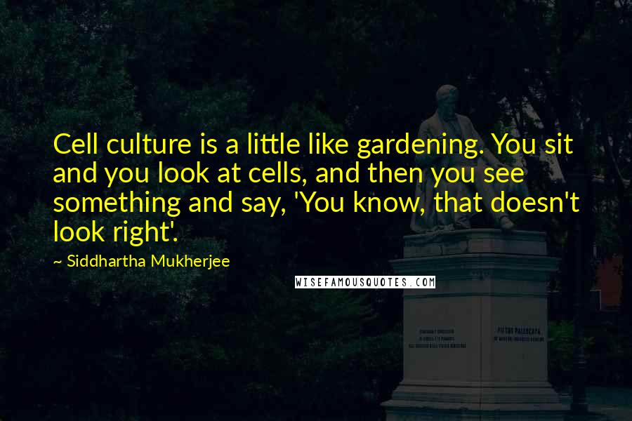 Siddhartha Mukherjee Quotes: Cell culture is a little like gardening. You sit and you look at cells, and then you see something and say, 'You know, that doesn't look right'.
