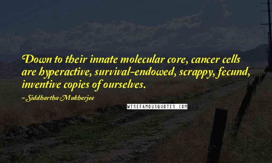 Siddhartha Mukherjee Quotes: Down to their innate molecular core, cancer cells are hyperactive, survival-endowed, scrappy, fecund, inventive copies of ourselves.
