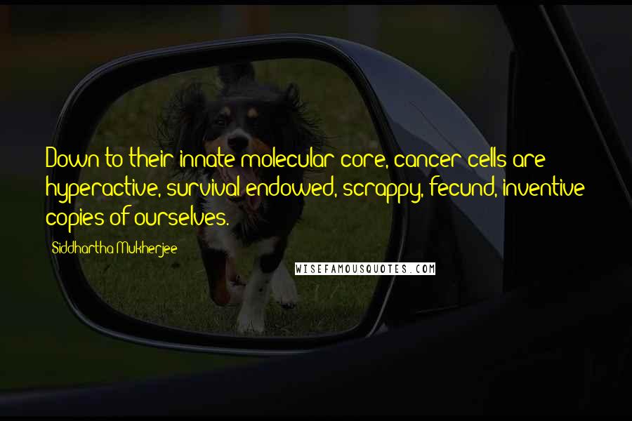 Siddhartha Mukherjee Quotes: Down to their innate molecular core, cancer cells are hyperactive, survival-endowed, scrappy, fecund, inventive copies of ourselves.