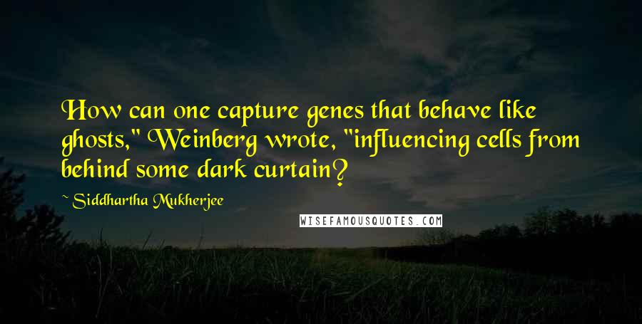 Siddhartha Mukherjee Quotes: How can one capture genes that behave like ghosts," Weinberg wrote, "influencing cells from behind some dark curtain?