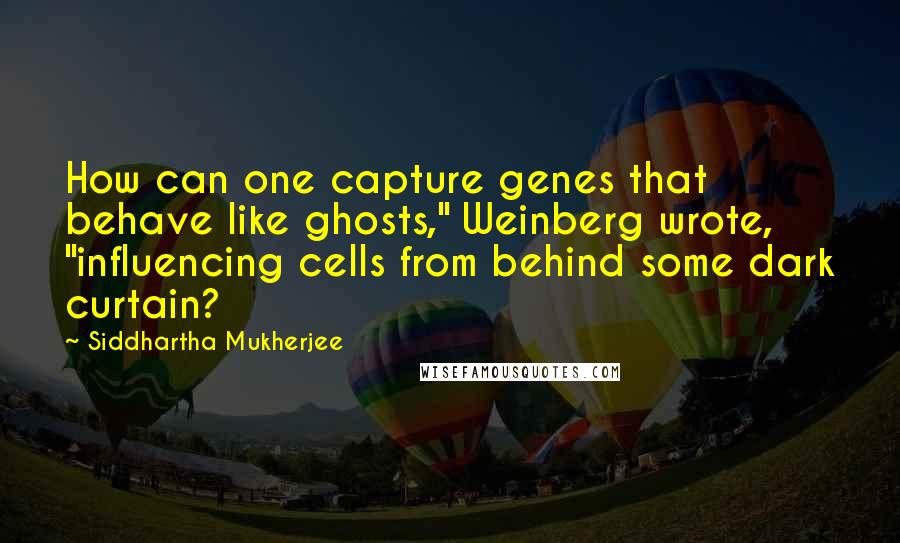 Siddhartha Mukherjee Quotes: How can one capture genes that behave like ghosts," Weinberg wrote, "influencing cells from behind some dark curtain?