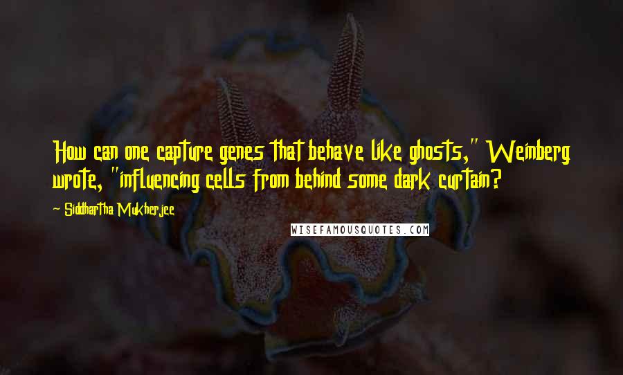 Siddhartha Mukherjee Quotes: How can one capture genes that behave like ghosts," Weinberg wrote, "influencing cells from behind some dark curtain?