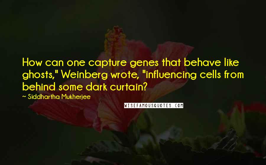 Siddhartha Mukherjee Quotes: How can one capture genes that behave like ghosts," Weinberg wrote, "influencing cells from behind some dark curtain?