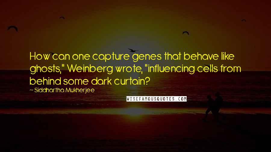 Siddhartha Mukherjee Quotes: How can one capture genes that behave like ghosts," Weinberg wrote, "influencing cells from behind some dark curtain?