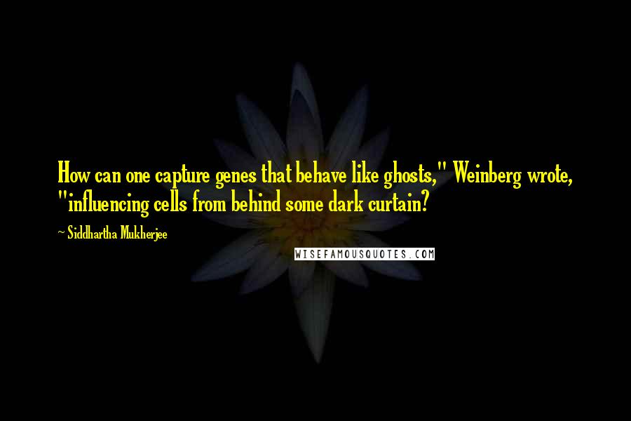 Siddhartha Mukherjee Quotes: How can one capture genes that behave like ghosts," Weinberg wrote, "influencing cells from behind some dark curtain?