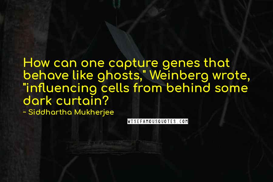 Siddhartha Mukherjee Quotes: How can one capture genes that behave like ghosts," Weinberg wrote, "influencing cells from behind some dark curtain?