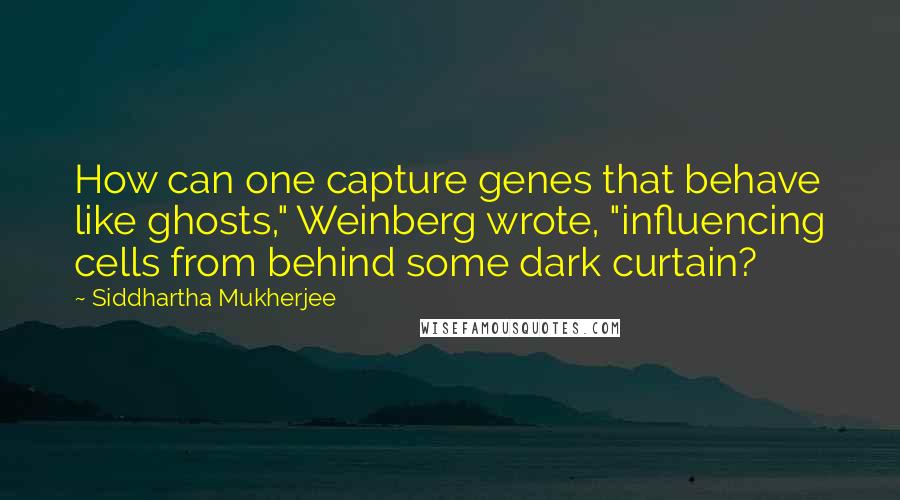 Siddhartha Mukherjee Quotes: How can one capture genes that behave like ghosts," Weinberg wrote, "influencing cells from behind some dark curtain?