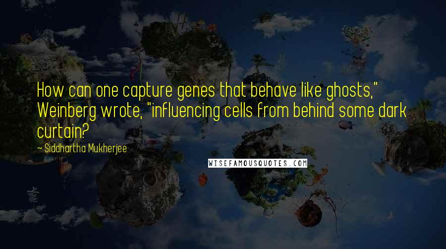 Siddhartha Mukherjee Quotes: How can one capture genes that behave like ghosts," Weinberg wrote, "influencing cells from behind some dark curtain?