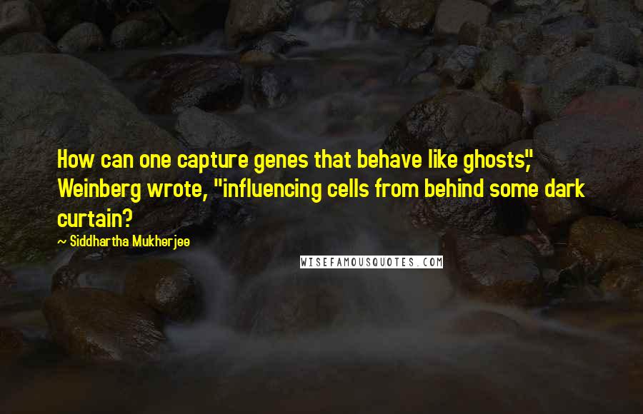 Siddhartha Mukherjee Quotes: How can one capture genes that behave like ghosts," Weinberg wrote, "influencing cells from behind some dark curtain?