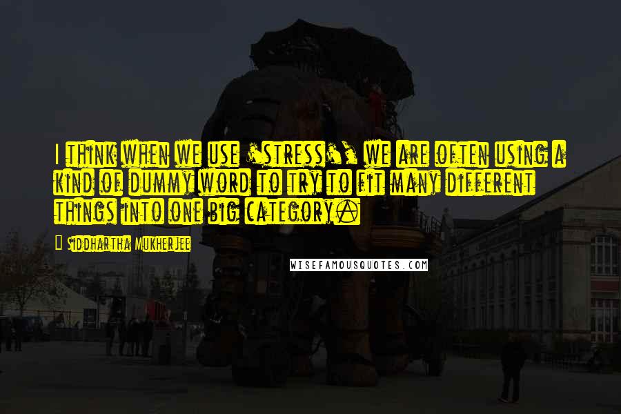 Siddhartha Mukherjee Quotes: I think when we use 'stress', we are often using a kind of dummy word to try to fit many different things into one big category.