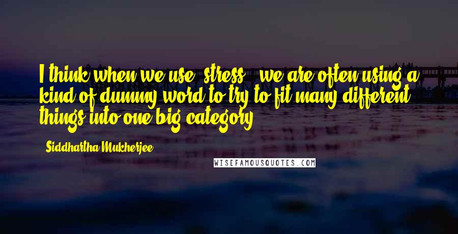 Siddhartha Mukherjee Quotes: I think when we use 'stress', we are often using a kind of dummy word to try to fit many different things into one big category.