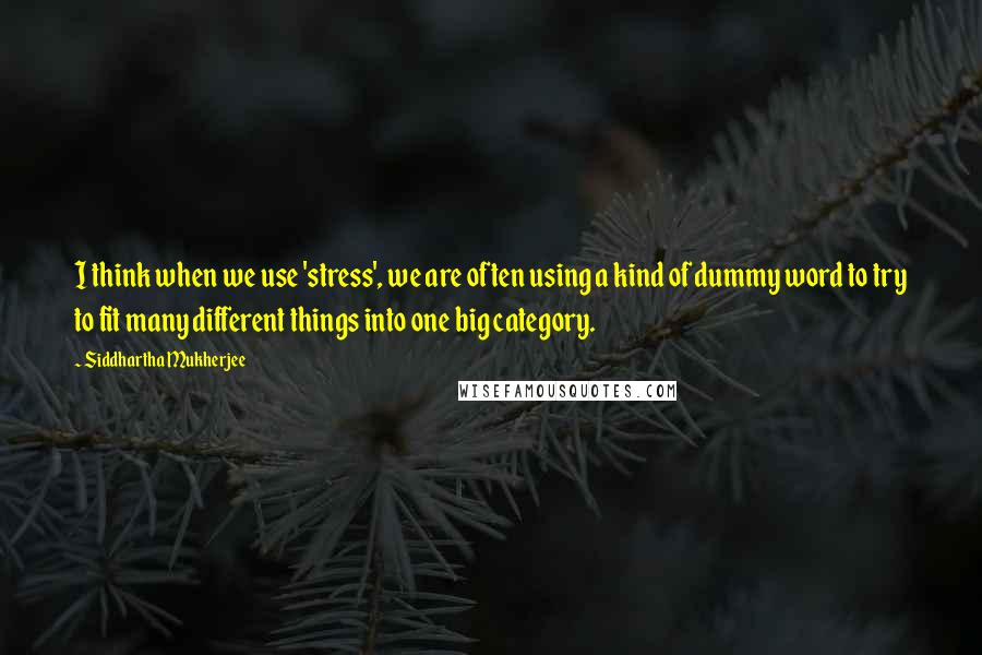 Siddhartha Mukherjee Quotes: I think when we use 'stress', we are often using a kind of dummy word to try to fit many different things into one big category.