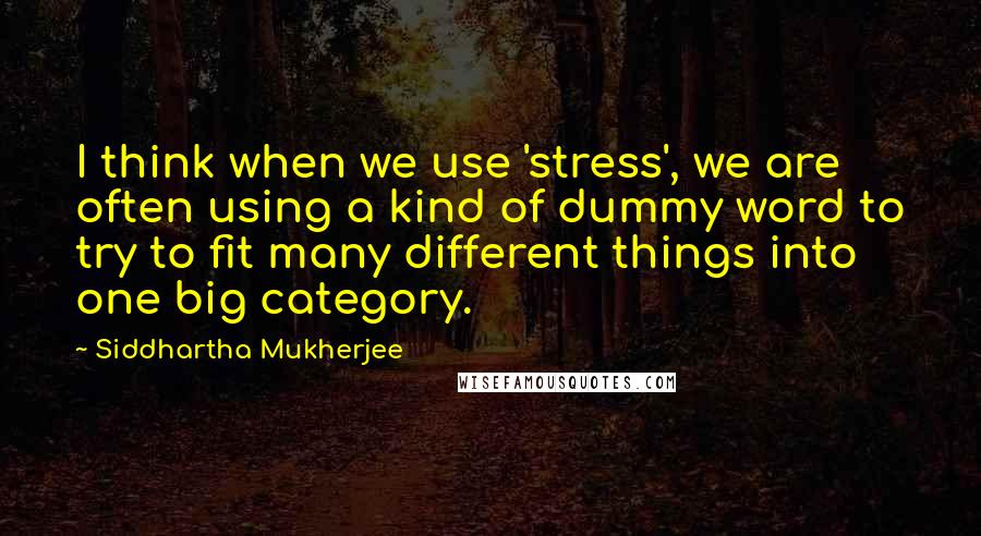 Siddhartha Mukherjee Quotes: I think when we use 'stress', we are often using a kind of dummy word to try to fit many different things into one big category.