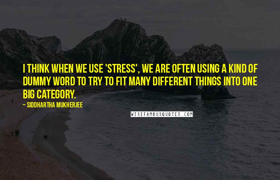 Siddhartha Mukherjee Quotes: I think when we use 'stress', we are often using a kind of dummy word to try to fit many different things into one big category.