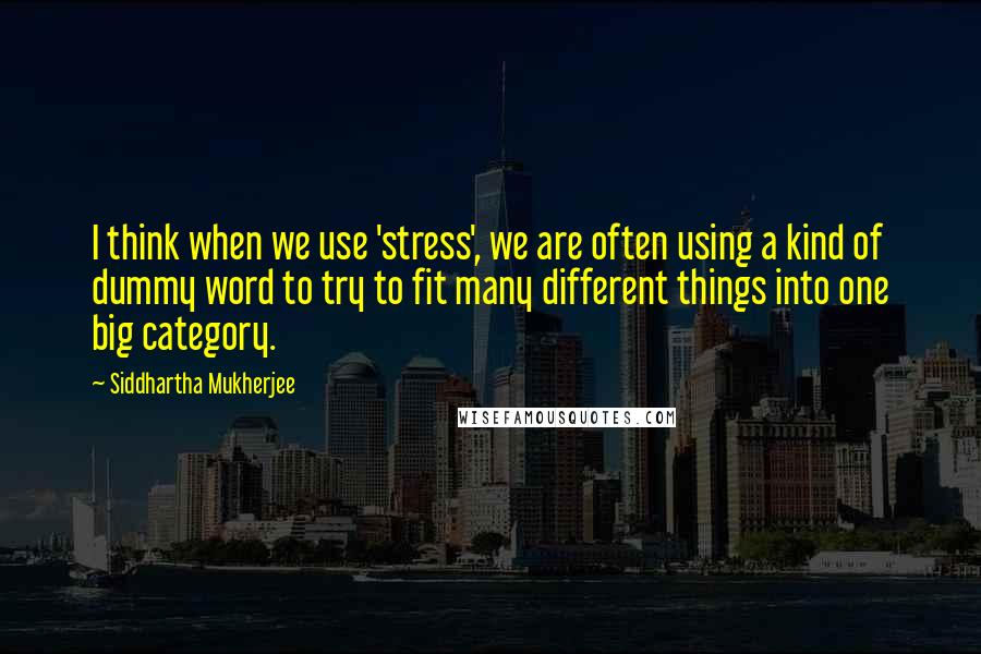 Siddhartha Mukherjee Quotes: I think when we use 'stress', we are often using a kind of dummy word to try to fit many different things into one big category.