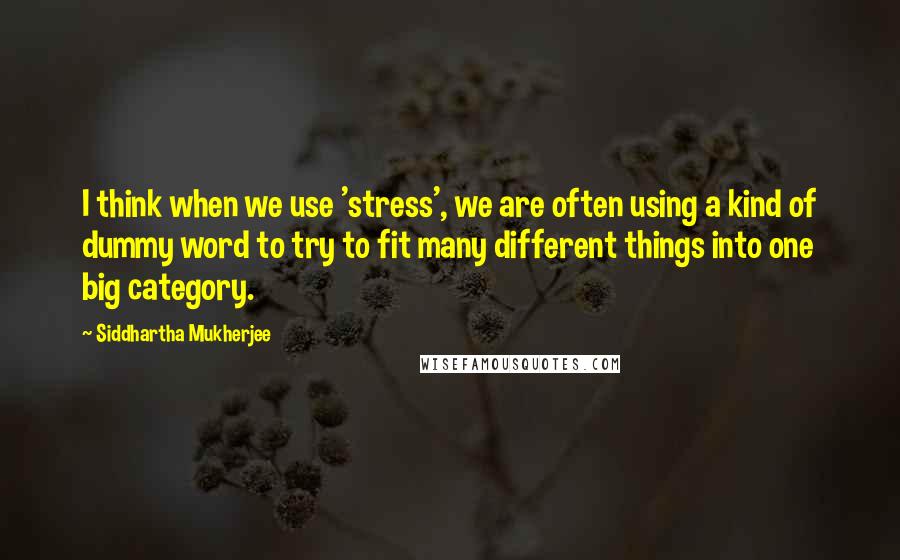 Siddhartha Mukherjee Quotes: I think when we use 'stress', we are often using a kind of dummy word to try to fit many different things into one big category.