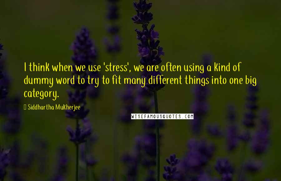 Siddhartha Mukherjee Quotes: I think when we use 'stress', we are often using a kind of dummy word to try to fit many different things into one big category.